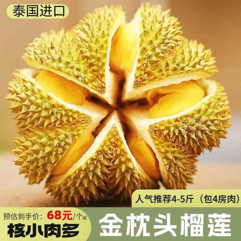 小巴掌榴蓮泰國(guó)金枕新鮮水果當(dāng)季整箱干包金枕榴蓮鮮果A果一整個(gè) 金枕榴蓮1.5-2斤巴掌果保3房果 1顆