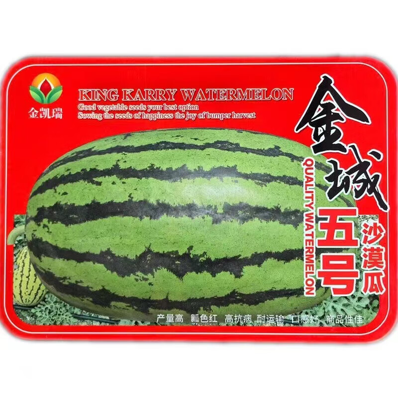 金城5號西瓜種子耐重茬西瓜種早熟甜冠巨型懶漢西瓜種籽四季高產(chǎn) 金城5號西瓜80克桶【果重達(dá)40斤