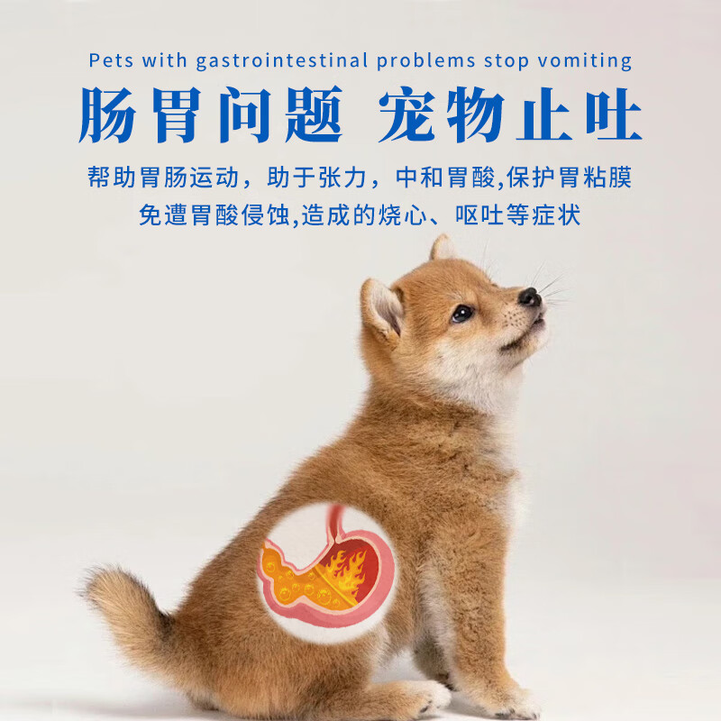 宠康源宠物用西咪替丁片猫咪犬狗止吐药呕吐黄水吐白沫肠胃炎症西米替丁 肠炎呕吐套餐