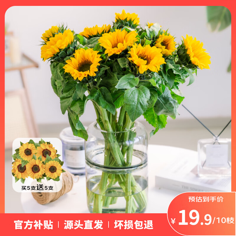 �����������л������ʻ����տ���С������ʦŮ�Ѽ������ѽ������� ���տ���5֧��5֧