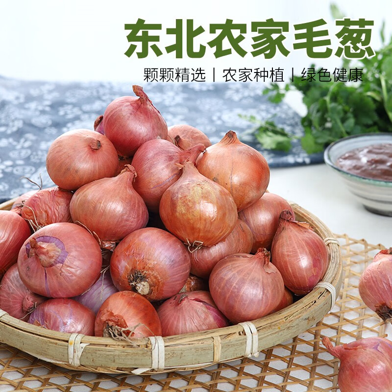 回香创叶东北毛葱头农家特产新鲜种籽栽子5斤鬼干小洋葱头迷你圆红葱头 2500g