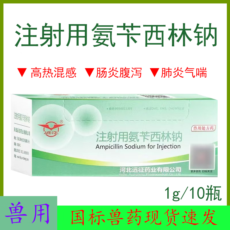 远征氨苄西林钠注射用兽用抗菌败血症肠炎肺炎尿路胆道感染药