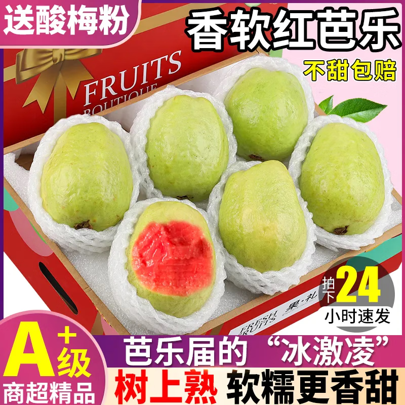 鲸咚亿农红心软芭乐番石榴胭脂红芭乐果大果软糯香软树上熟巴乐双拼 3斤红心冰淇淋芭乐【单果120g+】