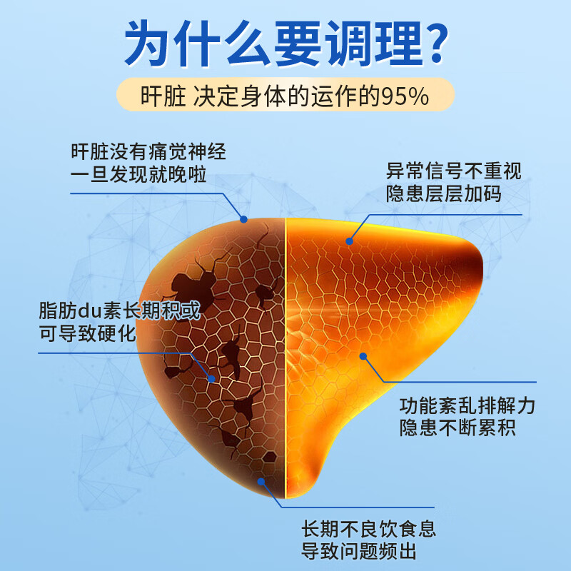 安美奇进口水飞蓟籽番茄红素搭护肝片乙肝养肝脂肪肝降转氨酶药缓解使用 【巩固装】12瓶(8瓶价格 实发12瓶)