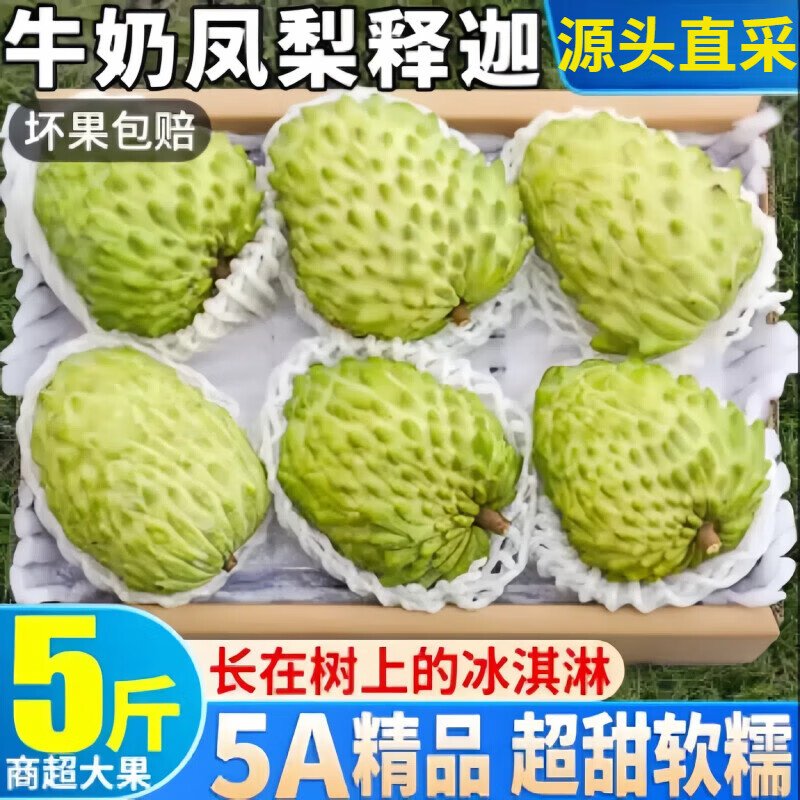 甜萌果蔬广西牛奶释迦果番荔枝摩尼佛头果【顺丰多地次日达】新鲜水果礼盒 2斤精选装【香甜软糯|很划算】净1.5斤 【精品福果·奶香绵密】活动冲量价