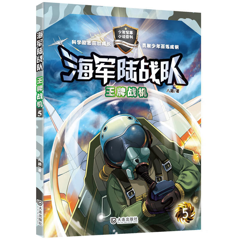 海军陆战队(王牌战机)/少年军事小说系列