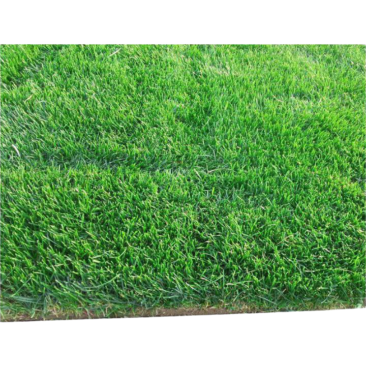 ���а�������������Ƥ�ļ��໤���̻��ļ����ƺ0.5ƽ��Դͷֱ�� 92Ԫ��4��(��23Ԫ/��)