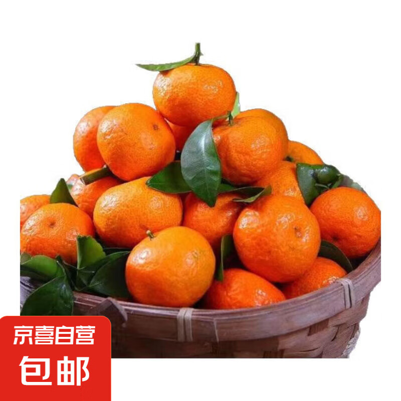超甜广西砂糖橘新鲜水果皮薄包邮小橘子 9斤超甜精选果