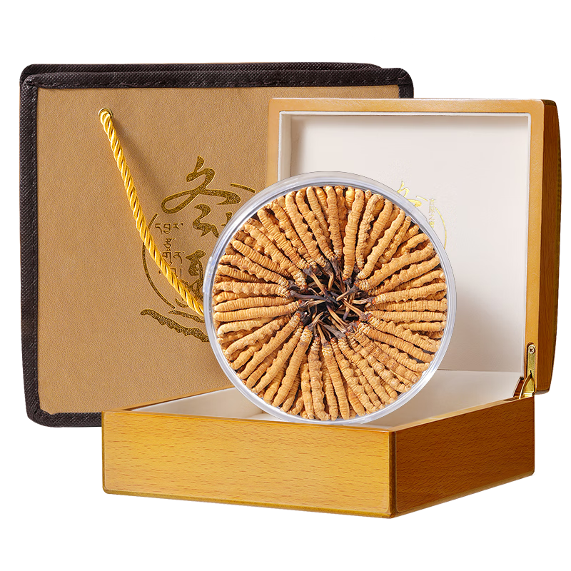 藏汐堂冬蟲(chóng)夏草 高海拔新干蟲(chóng)草禮盒裝干貨冬蟲(chóng)草頭期 2根/g 50克 共100根【蟲(chóng)草王】