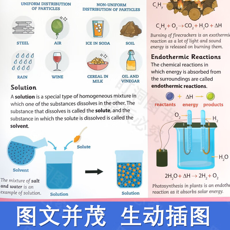 【可点读进口原版正品】儿童百科全书科普绘本 100事实系列套装 英文原版 儿童经典科普 4-10岁百科全书