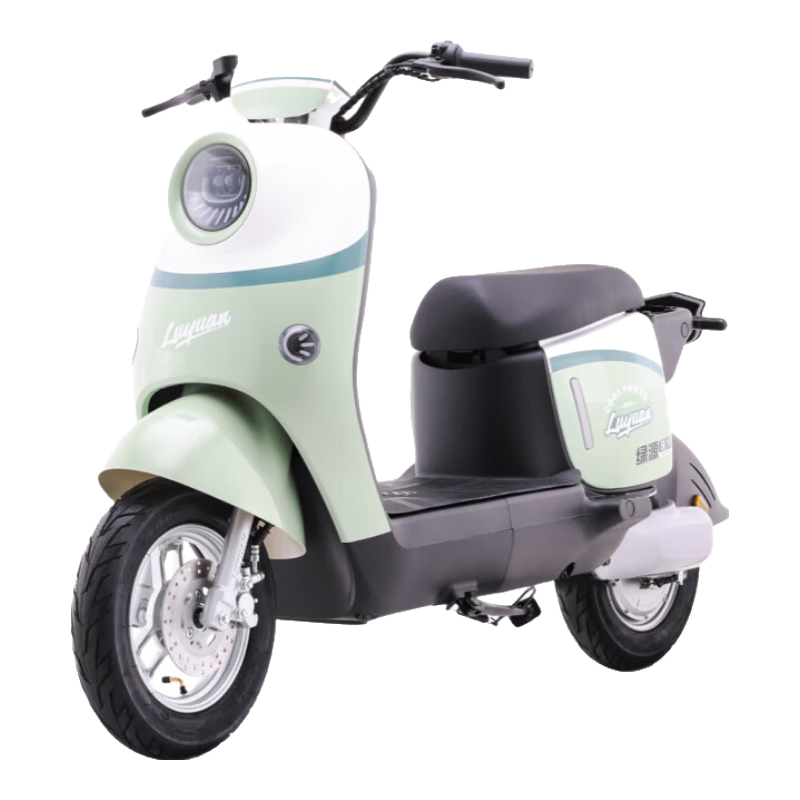 绿源【北京专享】以旧换新国家补贴ZOF 48V24h锂电新国标电动自行车可上牌 成人通勤代步长续航电动车 到门店选颜色（无需驾照） 2699元