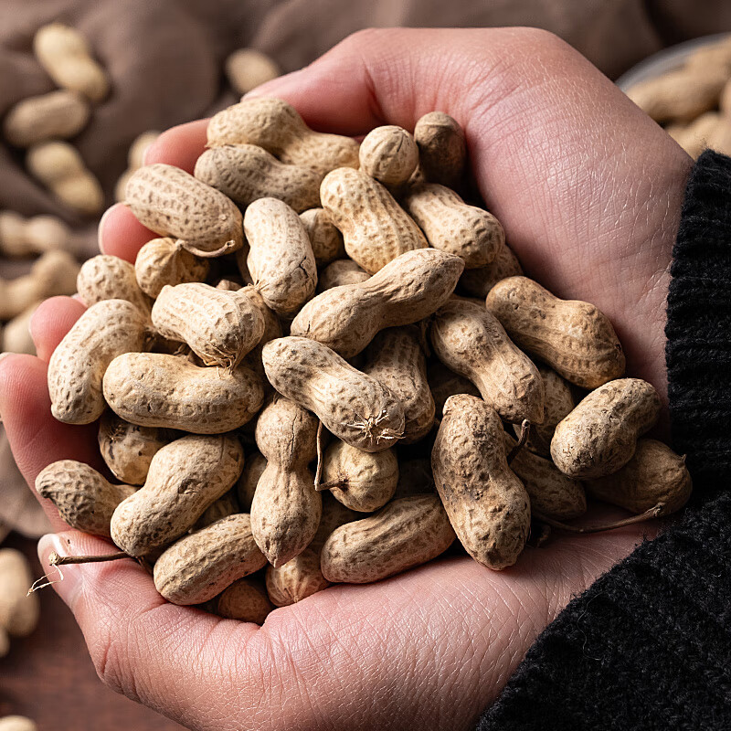 小珍珠花生小粒带壳干花生新鲜花生 源头生态生花生原味带壳花生 小珍珠花生 1000g装
