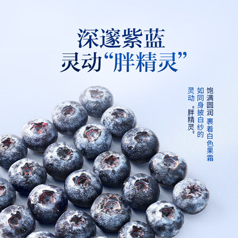 芫曦云南花香蓝莓【多地次日达】新鲜水果年货节送礼物 精选大果 | 约15mm+ 【尝鲜装】2盒装 单盒约100-125g
