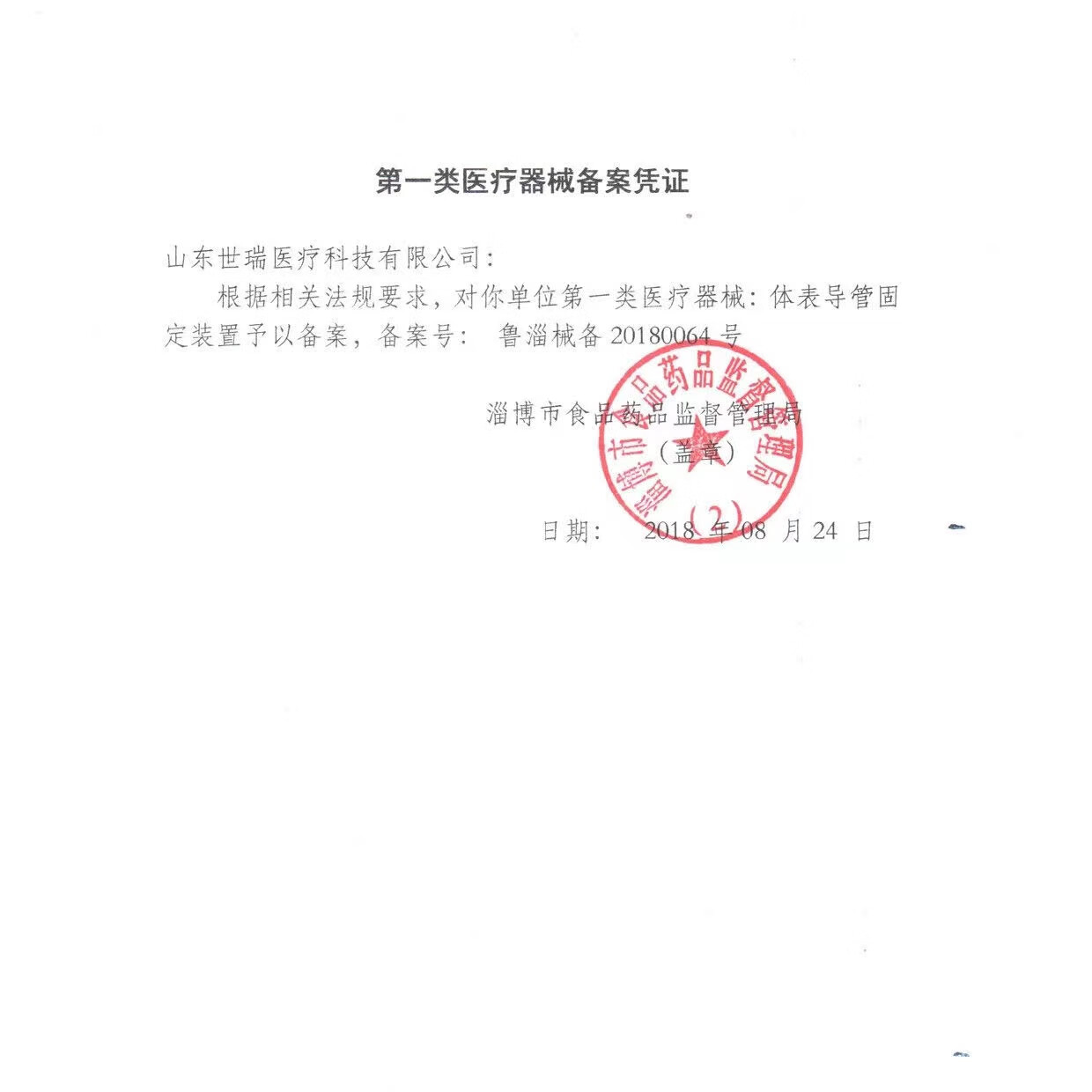 通用欣体固 体表导管固定装置 导尿管固定贴导管固定敷料 导管固定贴 B-01 5条