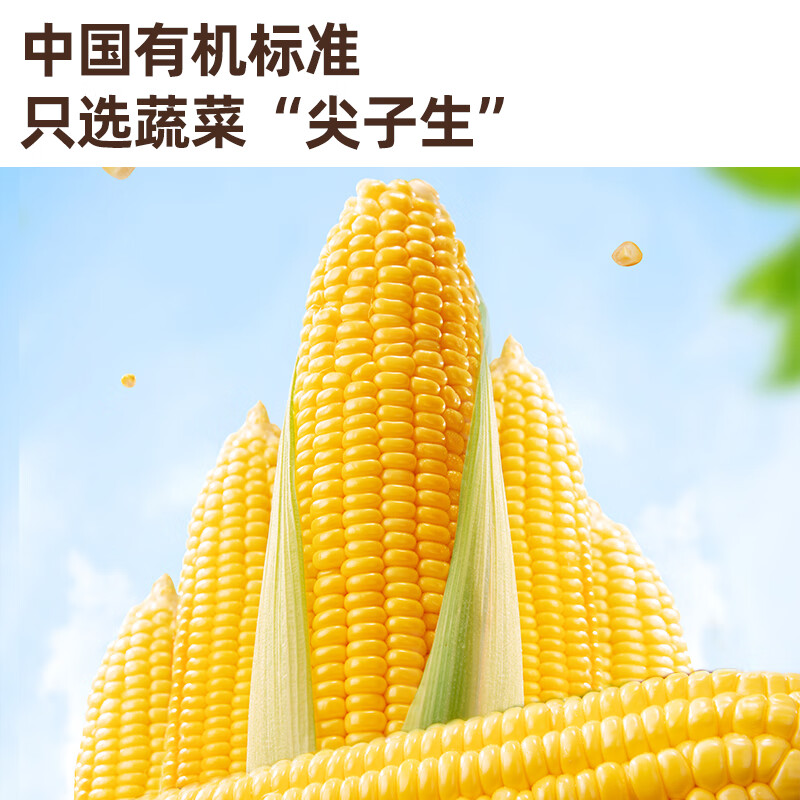 英氏 ENGNICE 【有机果泥专区】婴幼儿果泥多口味水果泥 婴儿辅食宝宝辅食 6月+ 有机婴标玉米 100g 1袋