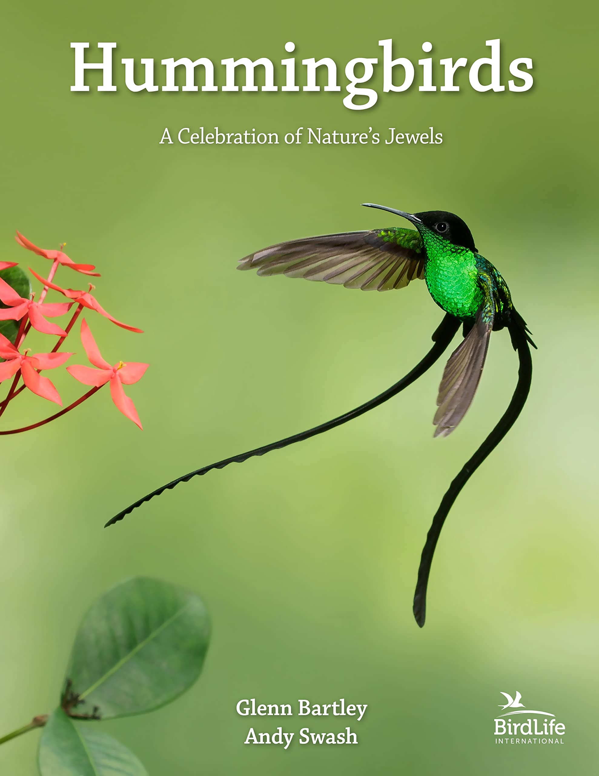 现货 英文原版 蜂鸟hummingbirds: a celebration of natures jewels