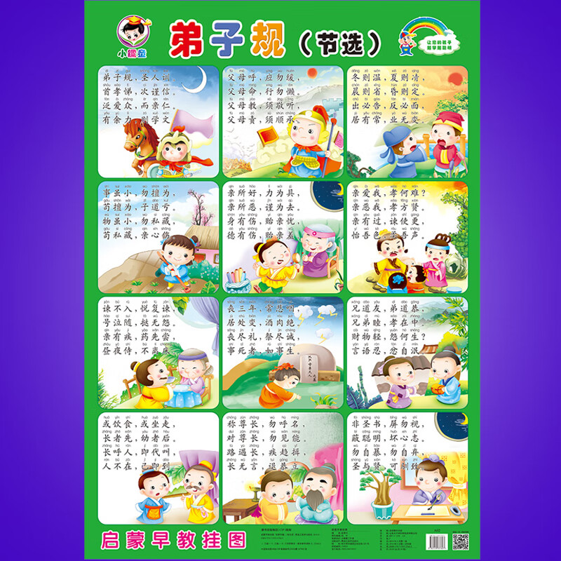 宝宝挂图婴幼儿童识图0-3画报启蒙早教拼音挂图墙贴看图识字贴画 弟子规