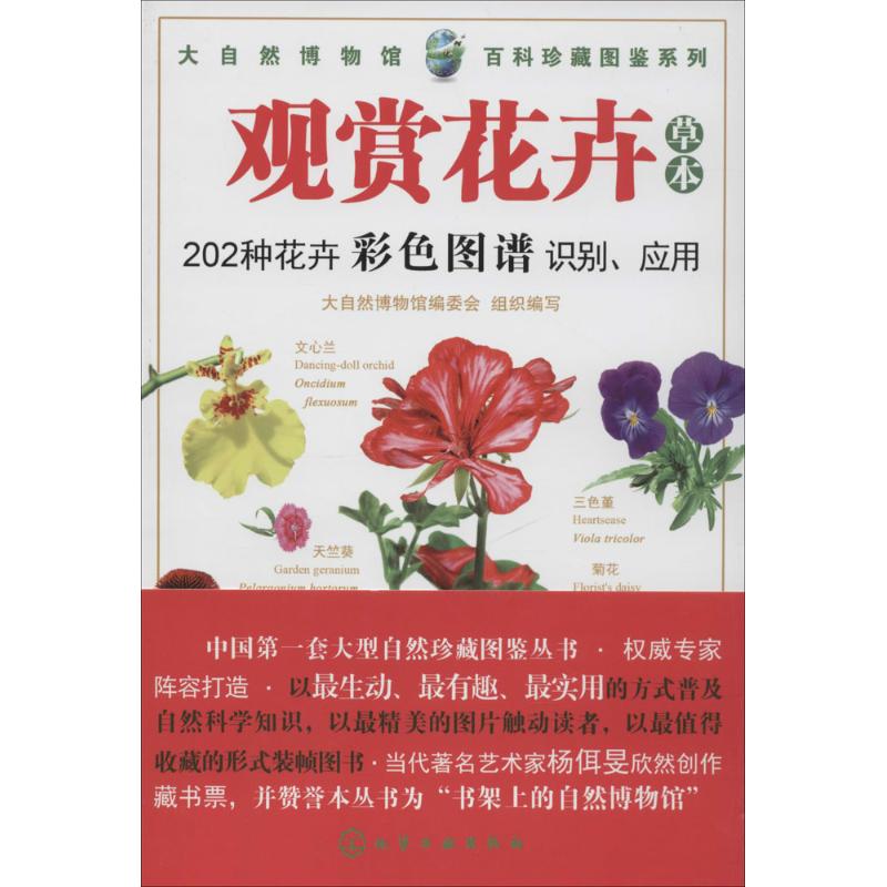 观赏花卉草本