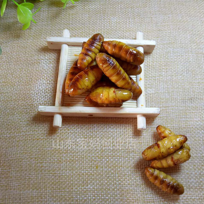 味巴哥年新货桑蚕蛹金丝蛹蝉蛹鲜蚕蛹特级金丝蛹满斤