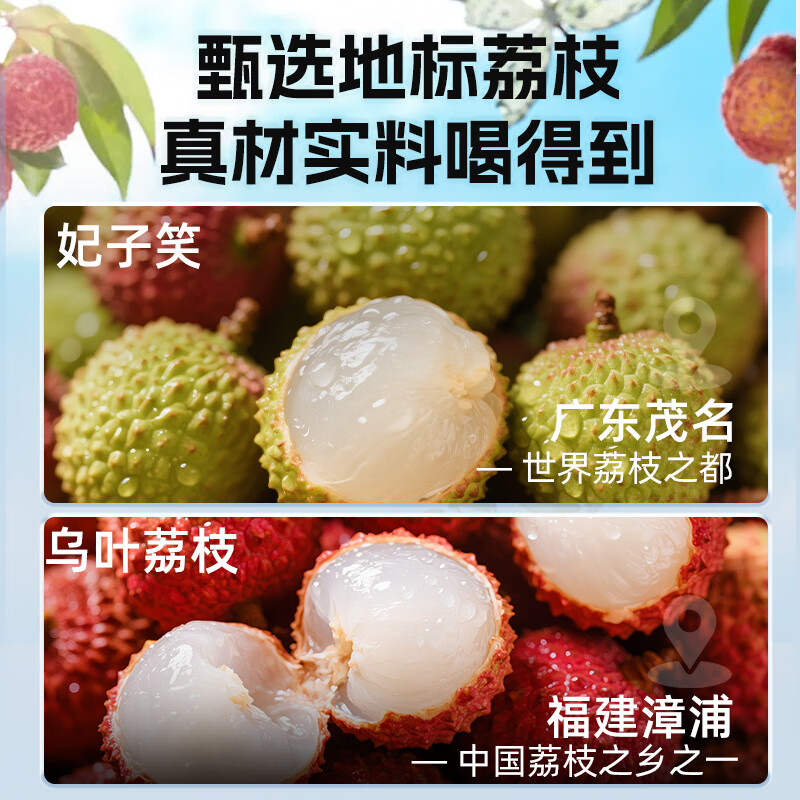 轻上东方补者人参红黑枸杞汁 长白山人参加宁夏枸杞萃取植物饮料饮品 荔枝汁245ml*10瓶