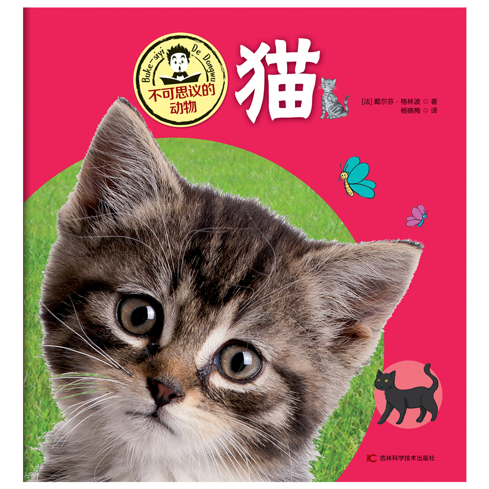 不可思议的动物 猫