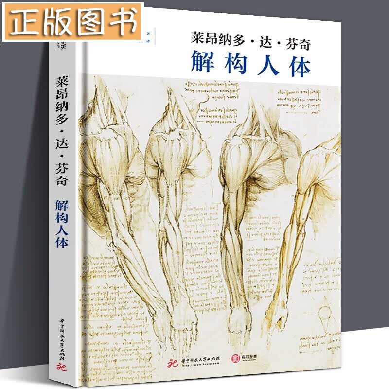 伯里曼人体结构绘画教学【多规格自选】牛津艺用人体、动物解剖学 解构人体-艺术人体解剖 夏帕德 弗里茨 人体素描从入门到精通 莱昂纳多达芬奇 解构人体