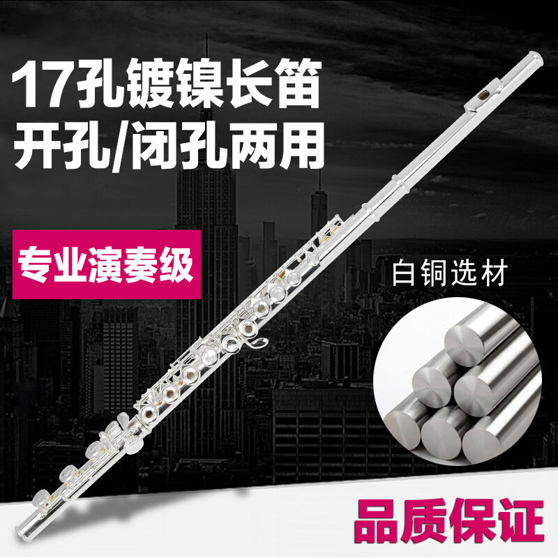 舒怀 乐器（shuhuai）乐器17孔E键 镀镍银色开孔两用C调长笛演奏级长笛考级长笛笛子
