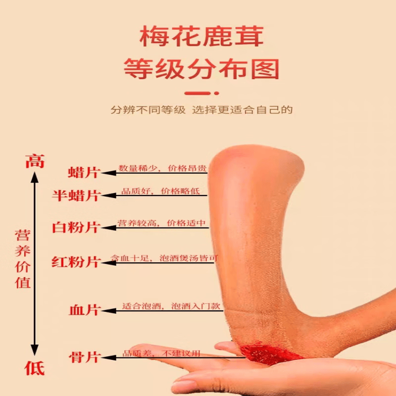 CLCEY双阳鹿场新鲜现割头茬二杠梅花鹿鹿茸整根鹿茸泡酒含血高货礼盒装 二杠整枝600g( 礼盒装可备注连刀切) 1支*1盒