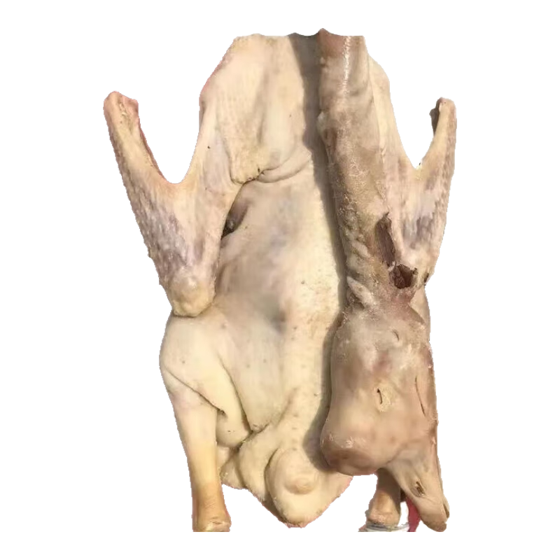 歡饞泡咸鵝臘鵝皖西大白鵝安徽六安農(nóng)家腌制散養(yǎng)老鵝咸貨臘貨 風(fēng)干5斤整只老鵝
