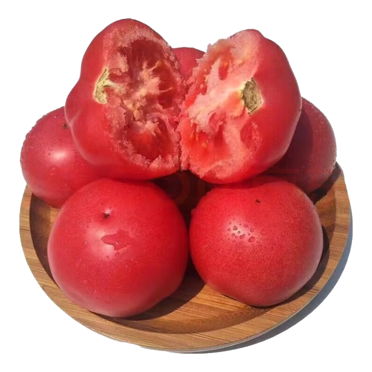 现摘沙瓤西红柿番茄可生吃现摘现发新鲜蔬菜减肥生鲜 精品小果(单果60g+) 4斤 带箱