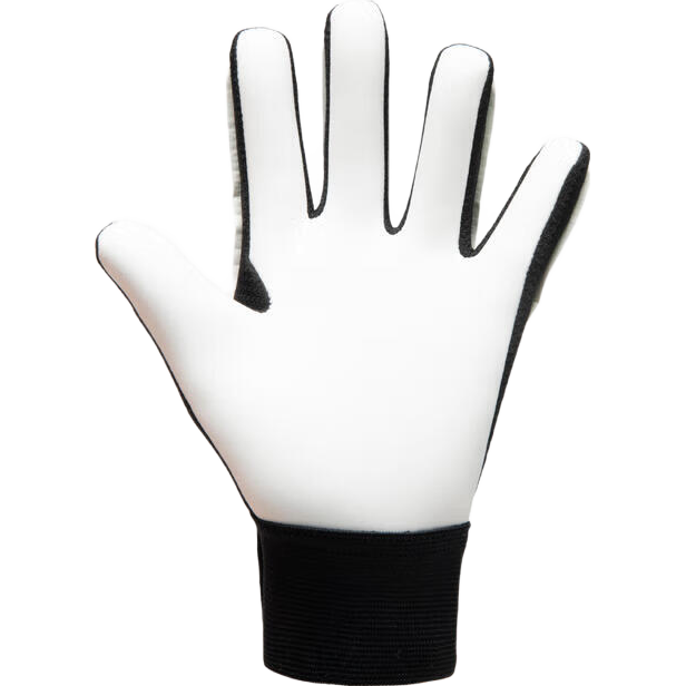 �Ͽ�ٯ��ͯ����Ա���������Ž�רҵ����װ��Сѧ��������-5254085