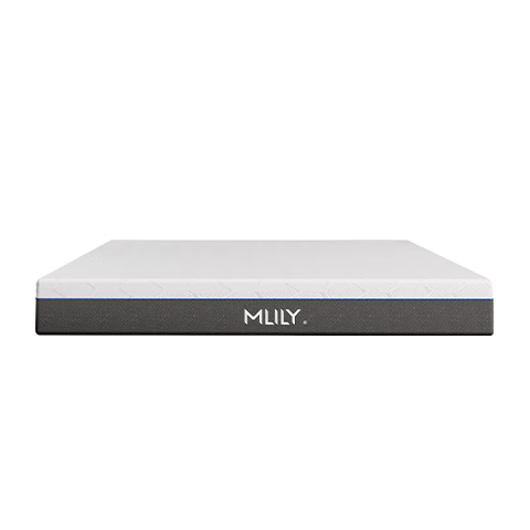 ���ڲ������ΰٺϰ���2.0�����������������޾����������ɻ�������1.5x2����Ӳ���� 2115.65Ԫ(������)