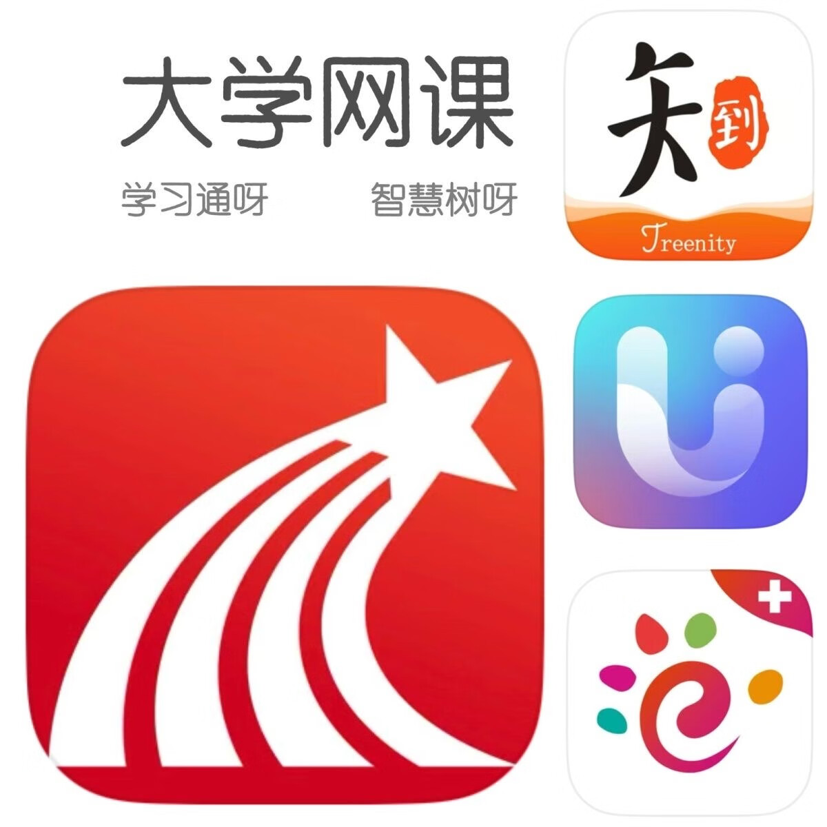 学习通专升本（学长分享专升本经验）
