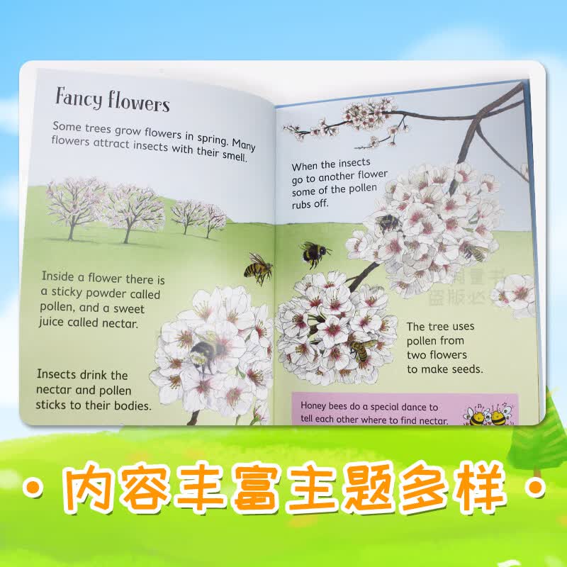 Usborne Beginners 尤斯伯恩初学者 初探系列 自然 动物 儿童科普百科绘本