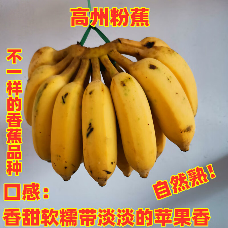 广东粉蕉3-9斤新鲜水果高州香蕉小米焦香蕉丑蕉自然熟食用苹果蕉 5斤