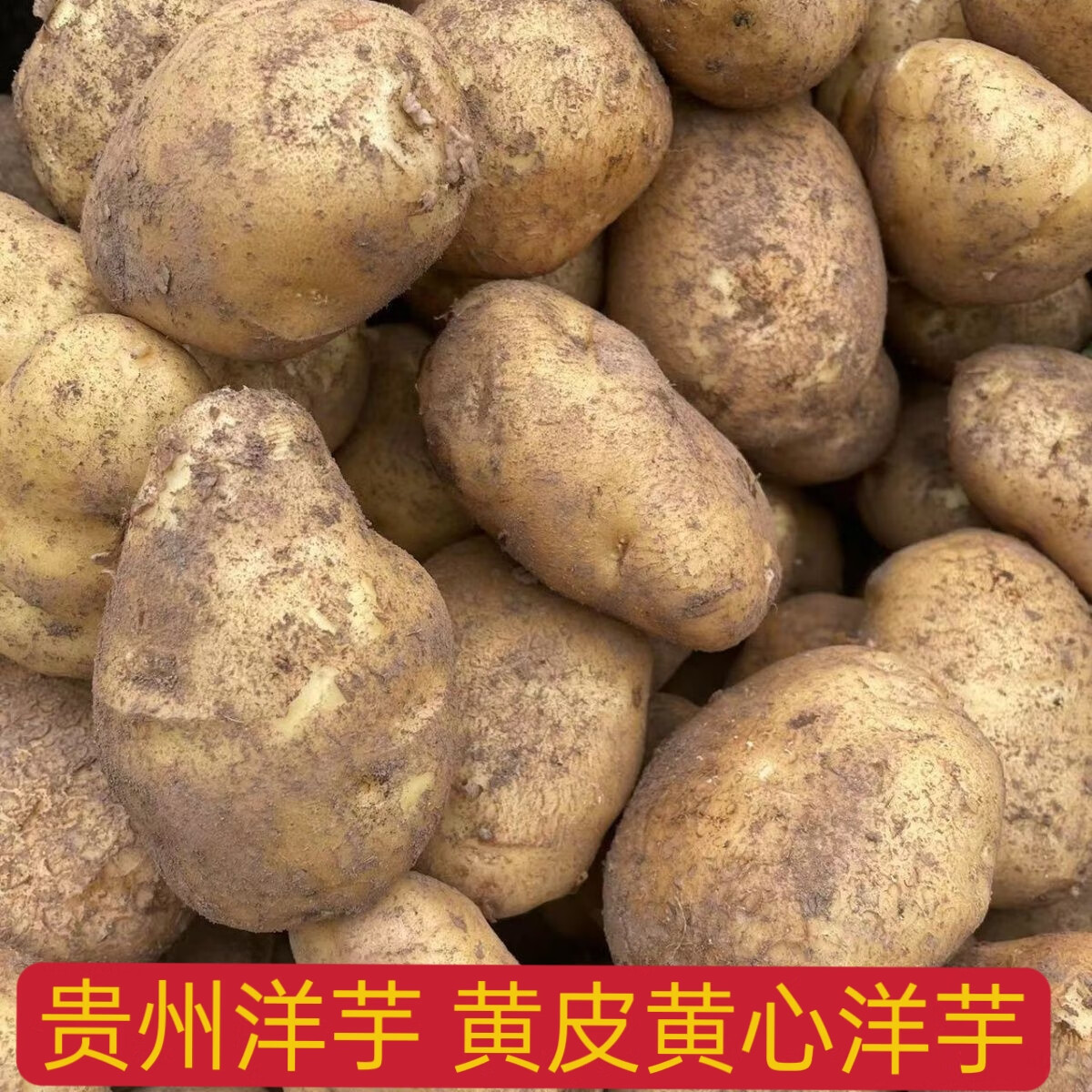 2026年洋芋贵州土豆农家洋芋黄皮黄心洋芋马铃薯新鲜洋芋 9斤大中小混装 贵州黄皮黄心洋芋 京东折扣/优惠券