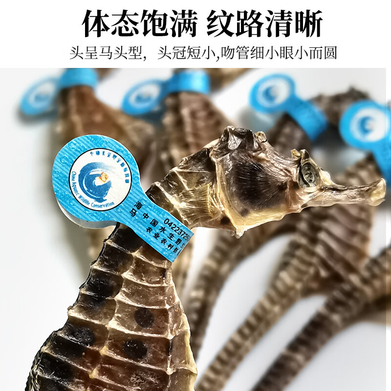 海马药材公母一对六角海龙组合泡酒滋补壮阳【CAWC认证】干货礼盒 50只公母搭配 52g*1袋