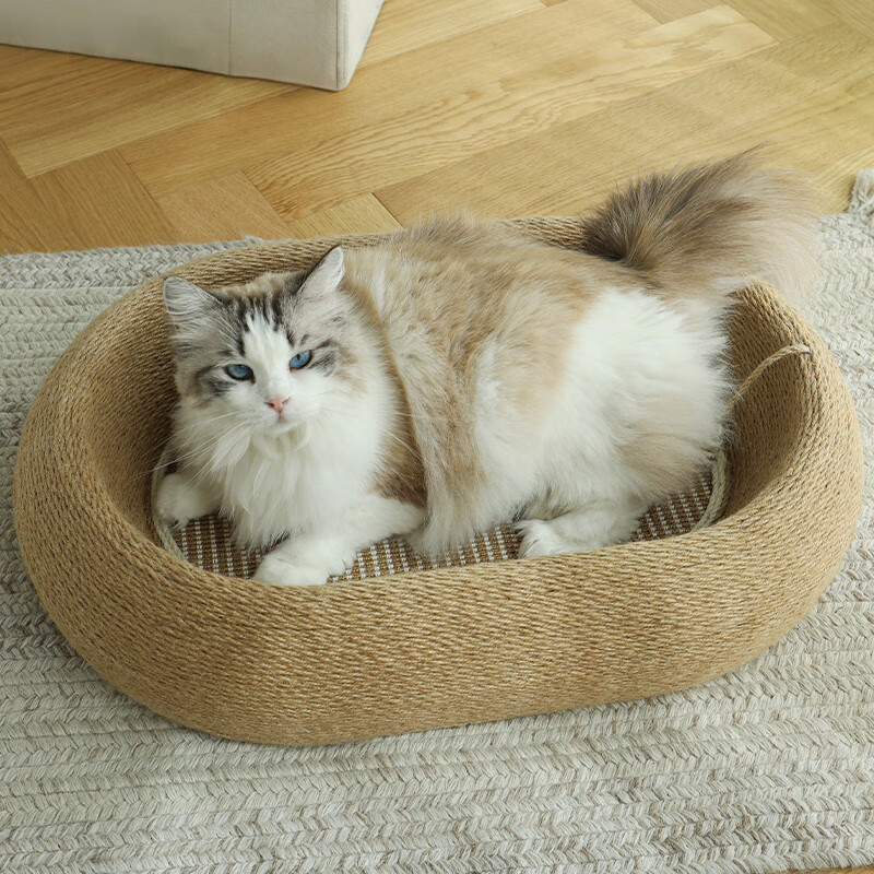 �󶼳���è��èץ��һ����ץ��ĥ����м ���Բ������