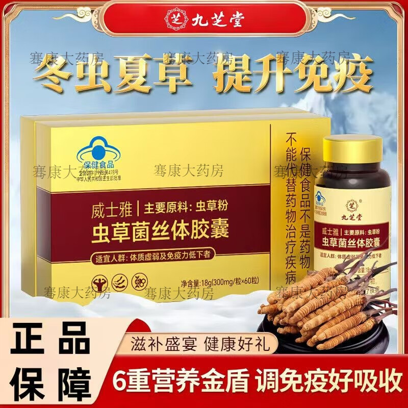 九芝堂蟲(chóng)草冬蟲(chóng)夏草菌絲體膠囊蟲(chóng)草粉調節免疫增強免疫清蟲(chóng)草粉蟲(chóng)草膠囊 1盒18g(300mg/粒x60粒)