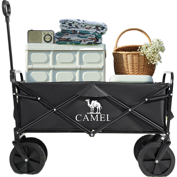 CAMEL���ա�����ר��������Ӫ�س����۵����Ƴ��������۵�¶Ӫ����ɫ