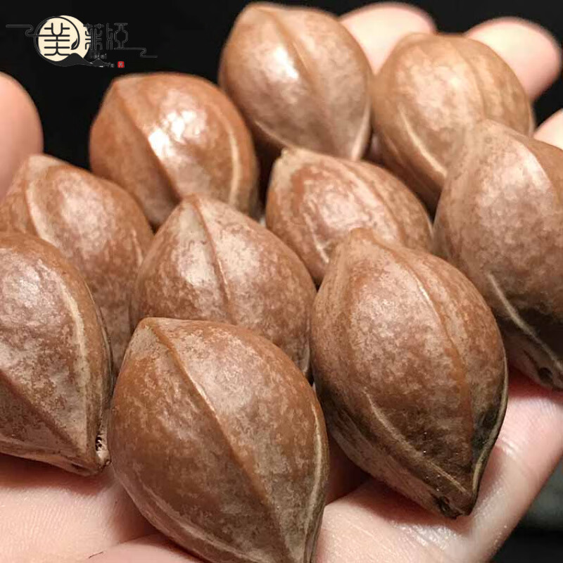 美菲婭梅林鐵核橄欖核手串鐵頭核鷹嘴鯊魚背原皮原料手串原籽素珠手鏈 2.0原皮(10顆) 10cm