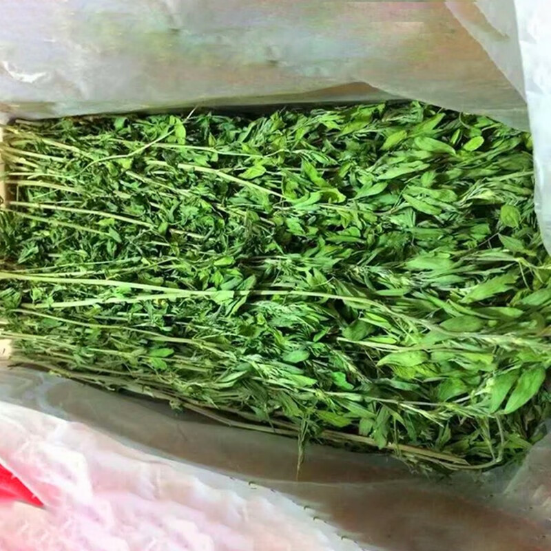 寵尚天（Jonsanty）24年新苜蓿草幼兔干草荷蘭豬龍貓小動(dòng)物干草飼料一箱毛重兩斤 1kg
