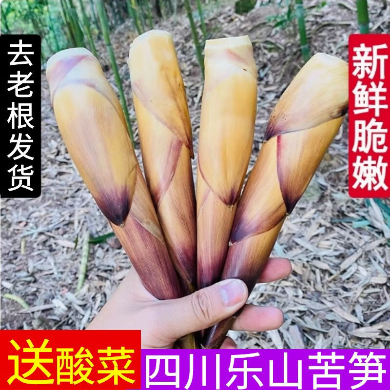 順豐 四川樂山苦竹筍 現(xiàn)挖帶殼新鮮苦筍 甜竹筍宜賓筍現(xiàn)挖新大筍 7斤（帶酸菜） 中筍（3-5個/斤）