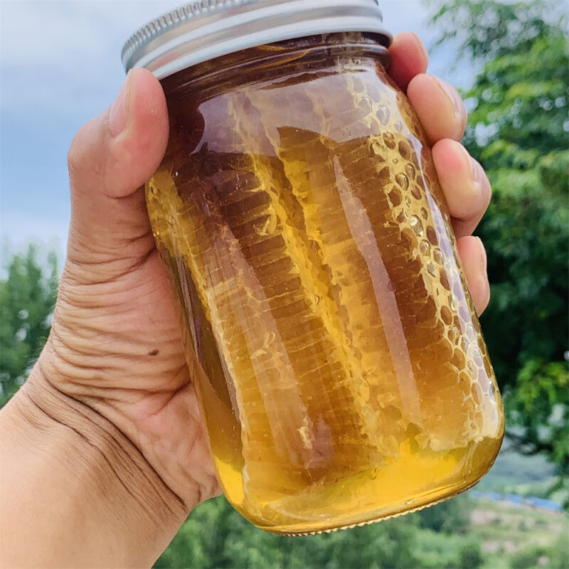 滨陇堂云南小挂蜜天然深山小草蜂排蜜嚼着吃野生纯土蜂蜜蜂巢蜜带树枝