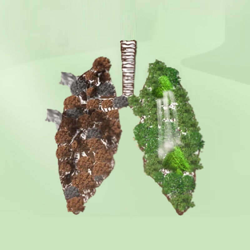 南京同仁堂润喉糖 蓝帽认证 清咽 胖大海糖金银花润喉糖含片草本咽喉送老师 拍1发2【包含赠送共发2盒】金银花+胖大海共80g