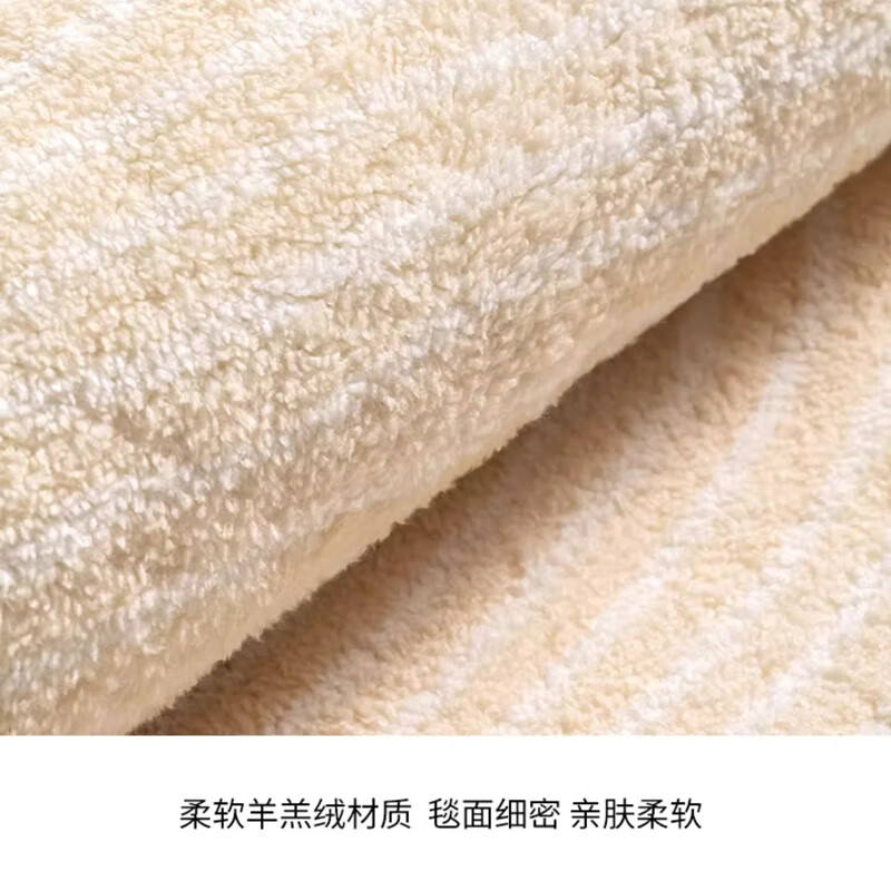 ZSVIP德国轻奢地毯圆形法式奶油风客厅卧室床边毯高级感化妆桌衣帽间毯 TF-201 1件 直径80厘米