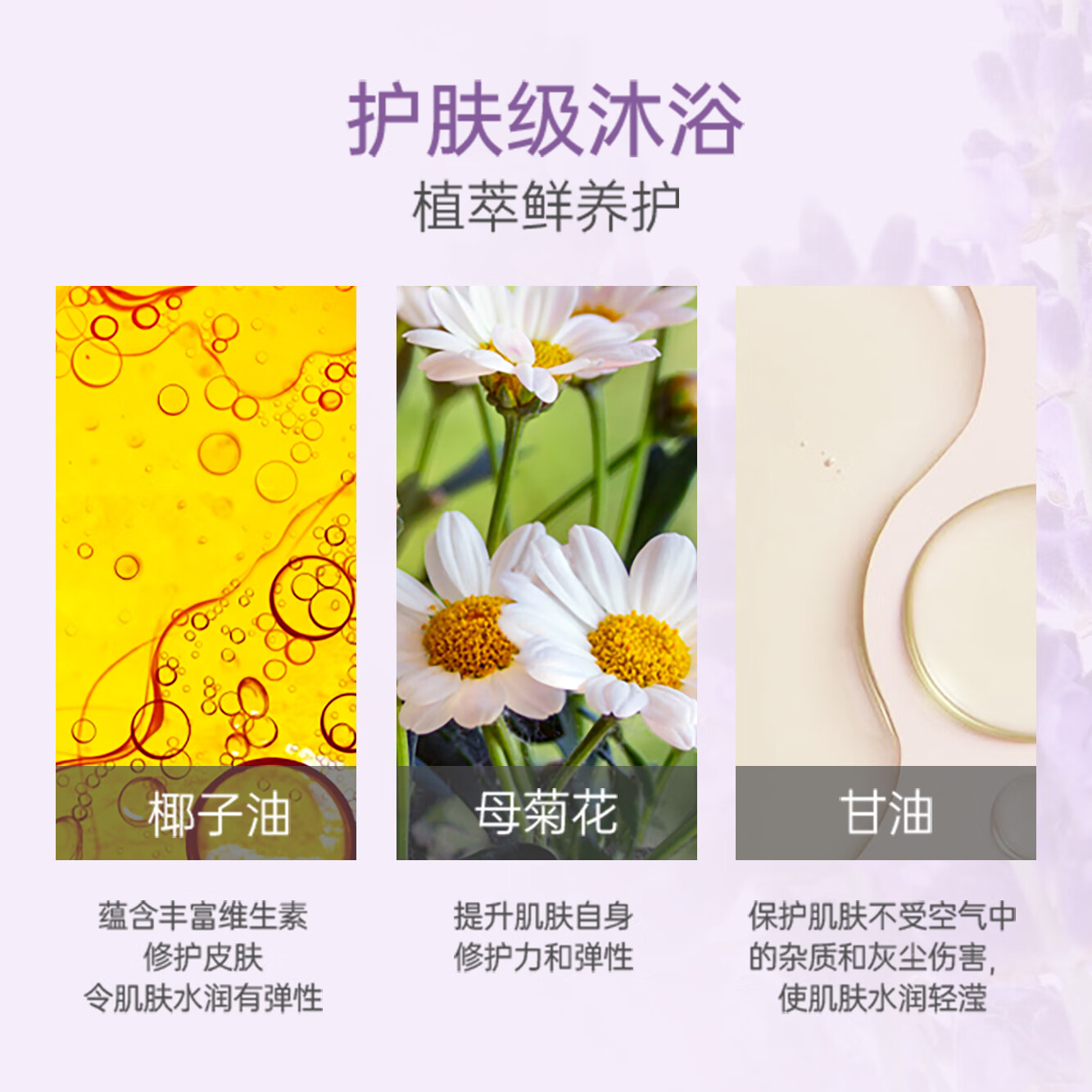 索芙特沐浴露 舒爽洁净持久留香 家庭装大瓶男女通用香氛沐浴乳 薰衣草芳香沐浴露2.008kg+ 8g 5袋