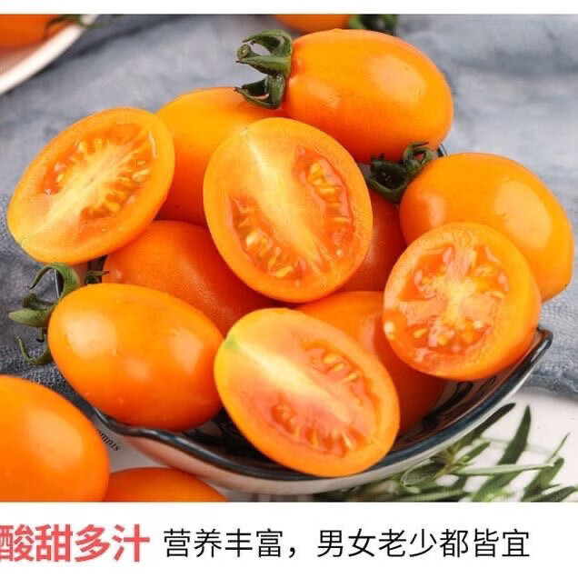 https://img14.360buyimg.com/pop/jfs/t1/270611/17/29263/65690/680f3c30F222655dd/c640dba827c4b2ee.jpg