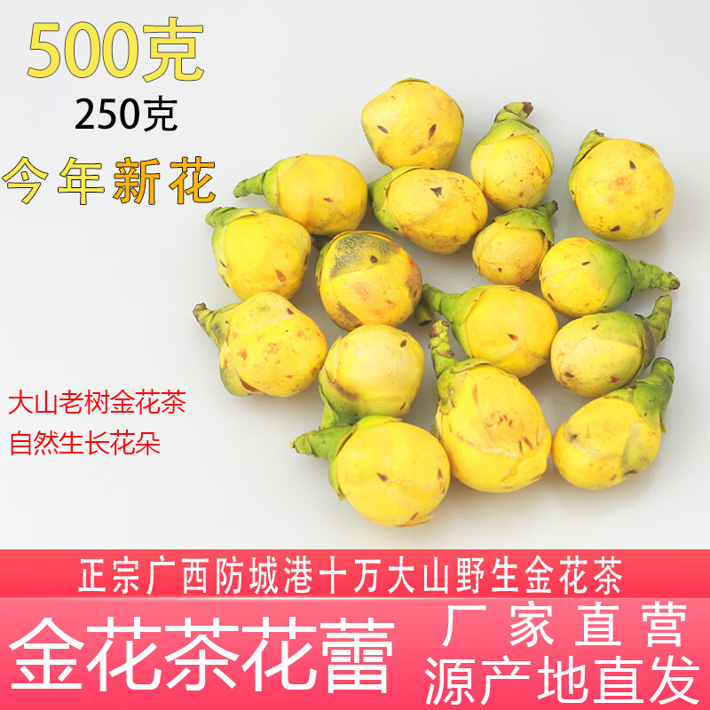 金花茶干花蕾【广西防城港十万大山野生金花茶花蕾】冻干 广西防城港