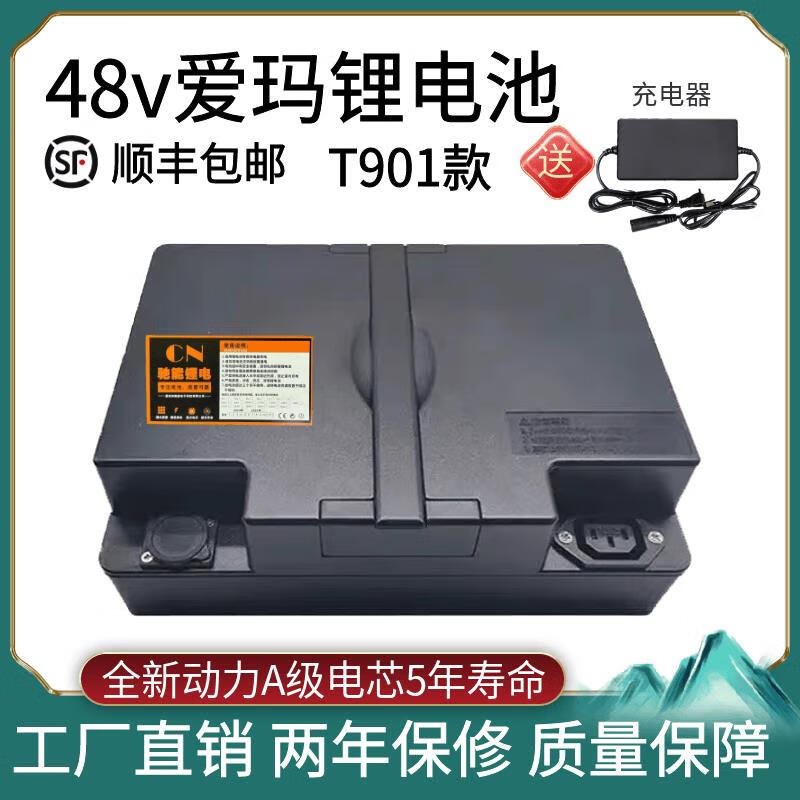逸美品爱玛t901款48v爱玛锂电池小乐购可拆踏板电动车雅迪台铃新日电瓶 全新48v20ah配充电器